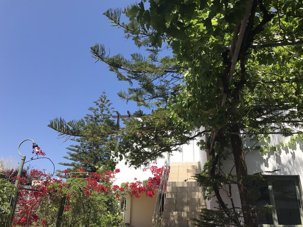 Oleander Apartment Platanes  Ngoại thất bức ảnh
